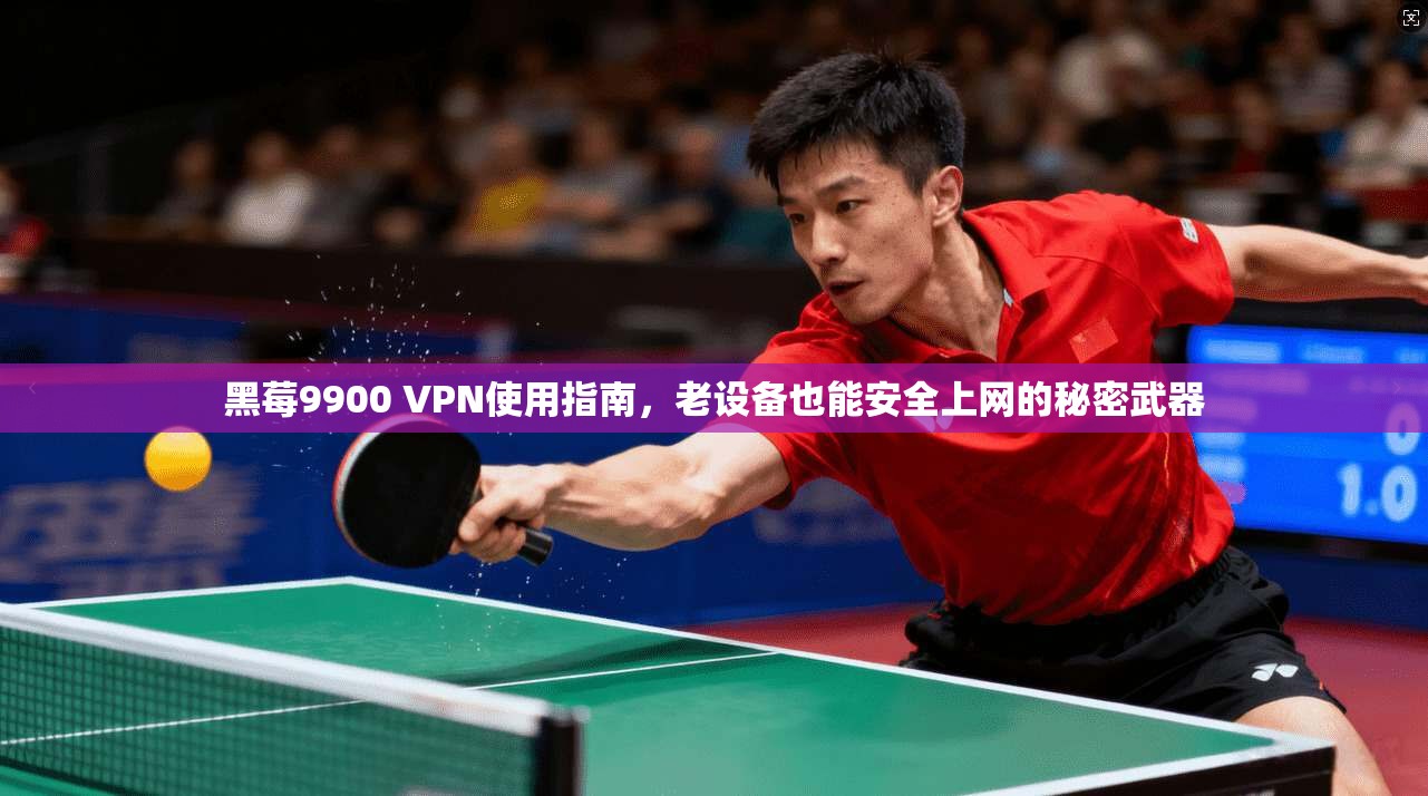 黑莓9900 VPN使用指南，老设备也能安全上网的秘密武器