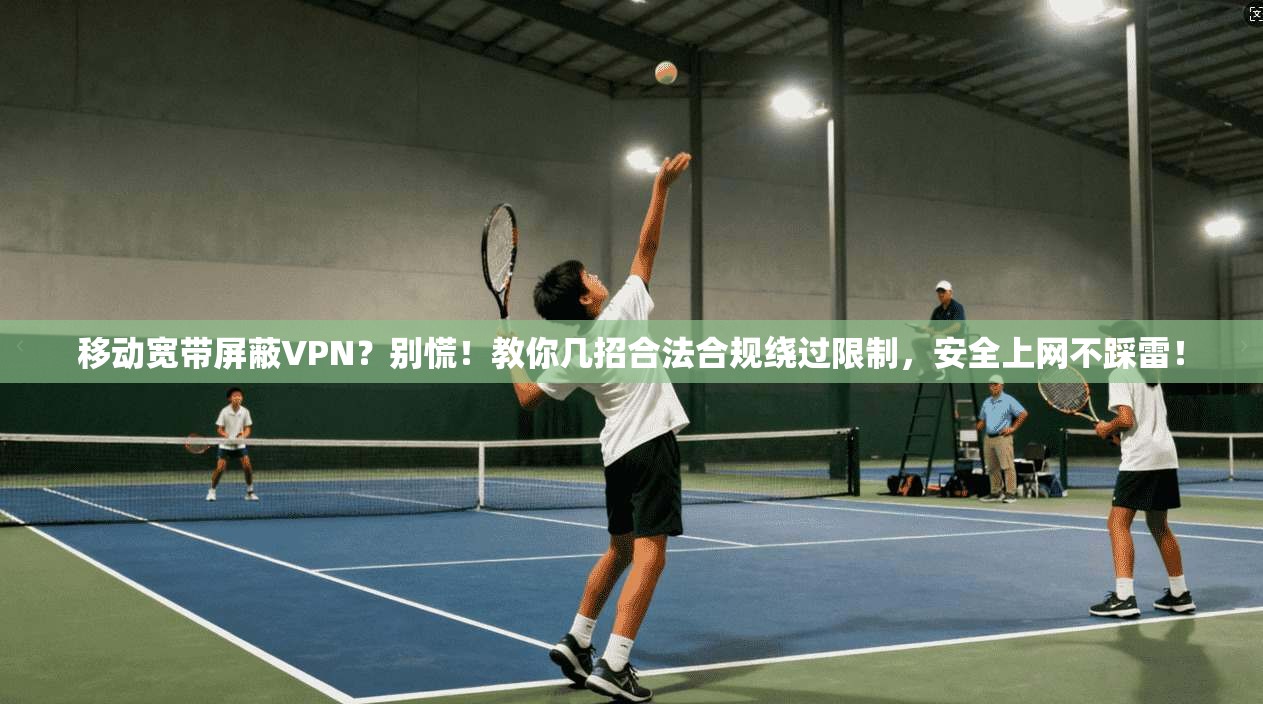 移动宽带屏蔽VPN?别慌!教你几招合法合规绕过限制,安全上网不踩雷!