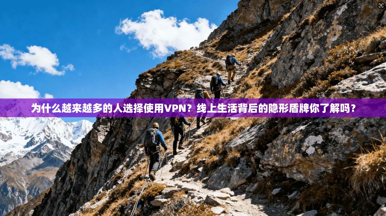 为什么越来越多的人选择使用VPN？线上生活背后的隐形盾牌你了解吗？