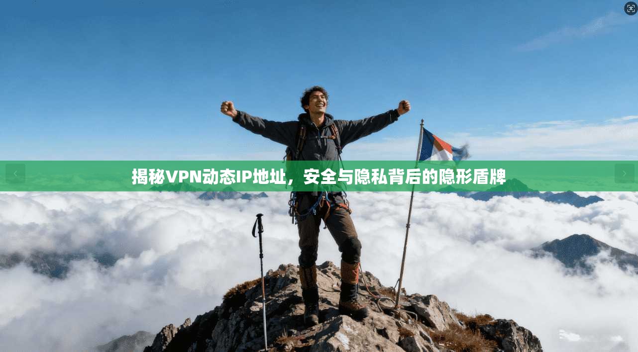 揭秘VPN动态IP地址，安全与隐私背后的隐形盾牌
