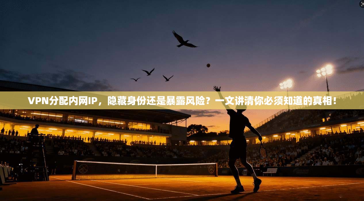 VPN分配内网IP，隐藏身份还是暴露风险？一文讲清你必须知道的真相！