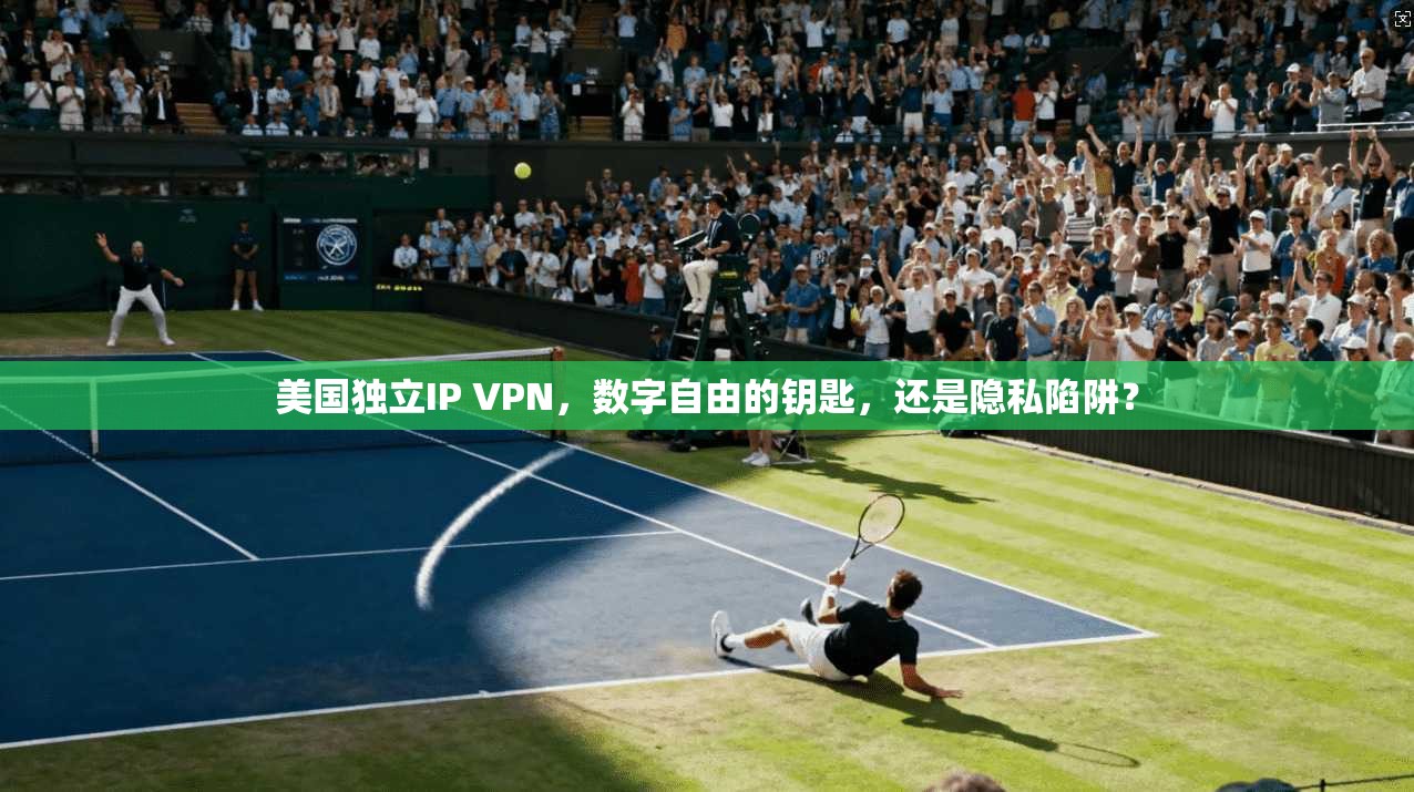 美国独立IP VPN，数字自由的钥匙，还是隐私陷阱？