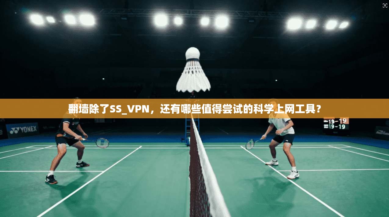 翻墙除了SS_VPN,还有哪些值得尝试的科学上网工具?