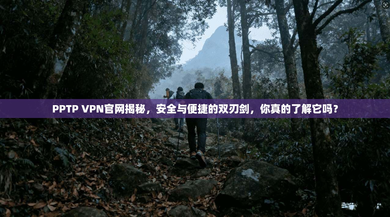 PPTP VPN官网揭秘,安全与便捷的双刃剑,你真的了解它吗? PPTP VPN官网揭秘,安全与便捷的双刃剑,你真的了解它吗?