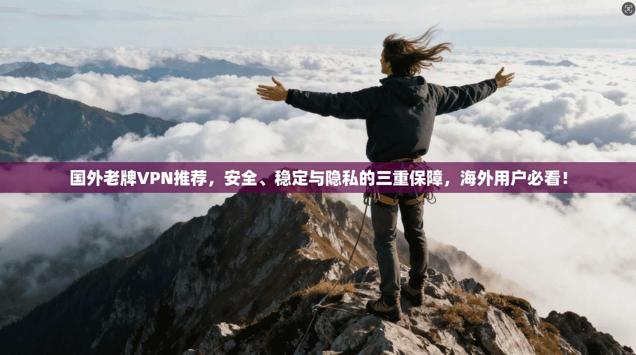 国外老牌VPN推荐,安全、稳定与隐私的三重保障,海外用户必看! 国外老牌VPN推荐,安全、稳定与隐私的三重保障,海外用户必看!