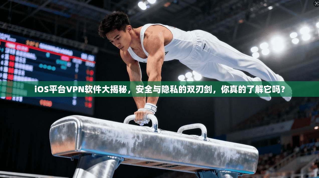 iOS平台VPN软件大揭秘，安全与隐私的双刃剑，你真的了解它吗？