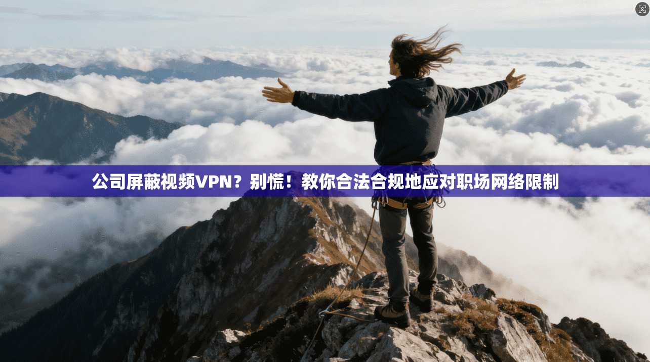 公司屏蔽视频VPN?别慌!教你合法合规地应对职场网络限制 公司屏蔽视频VPN?别慌!教你合法合规地应对职场网络限制