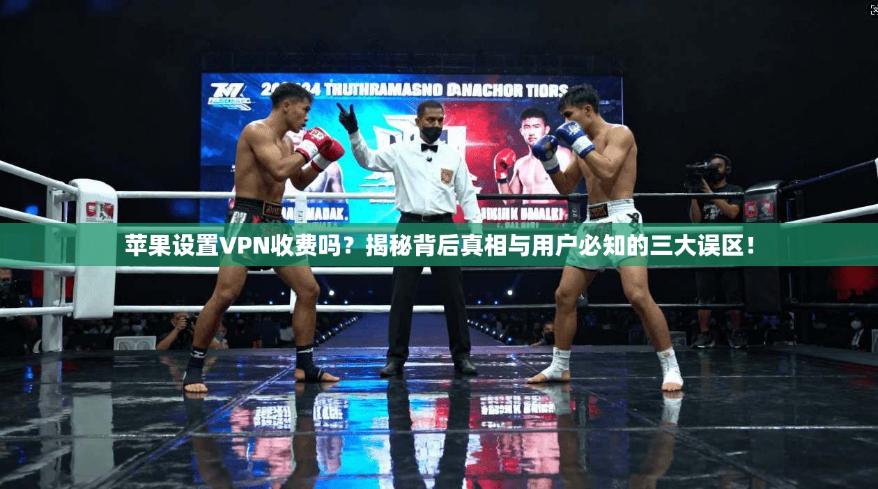 苹果设置VPN收费吗？揭秘背后真相与用户必知的三大误区！