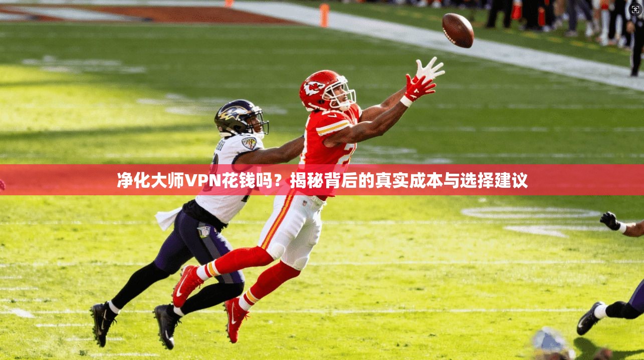 净化大师VPN花钱吗？揭秘背后的真实成本与选择建议