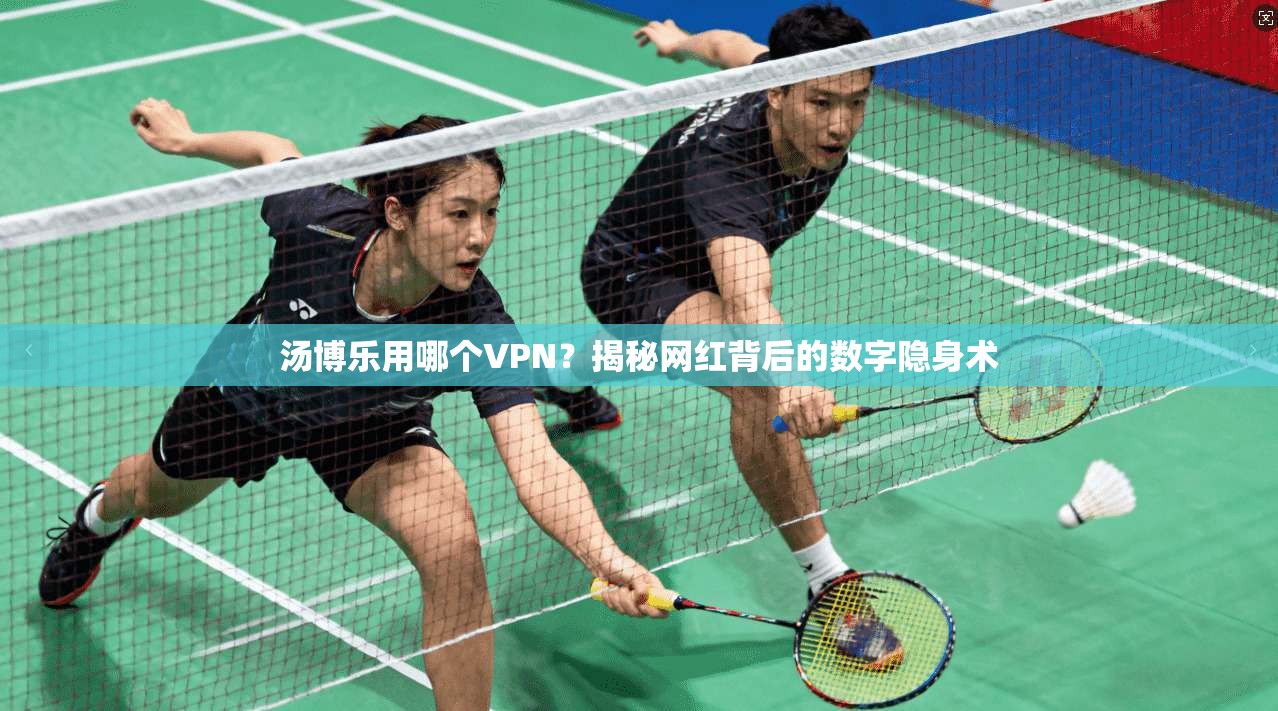 汤博乐用哪个VPN？揭秘网红背后的数字隐身术