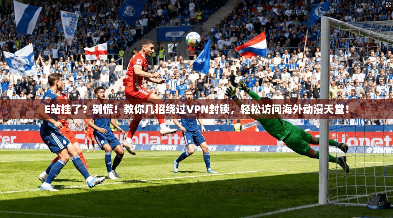 E站挂了？别慌！教你几招绕过VPN封锁，轻松访问海外动漫天堂！