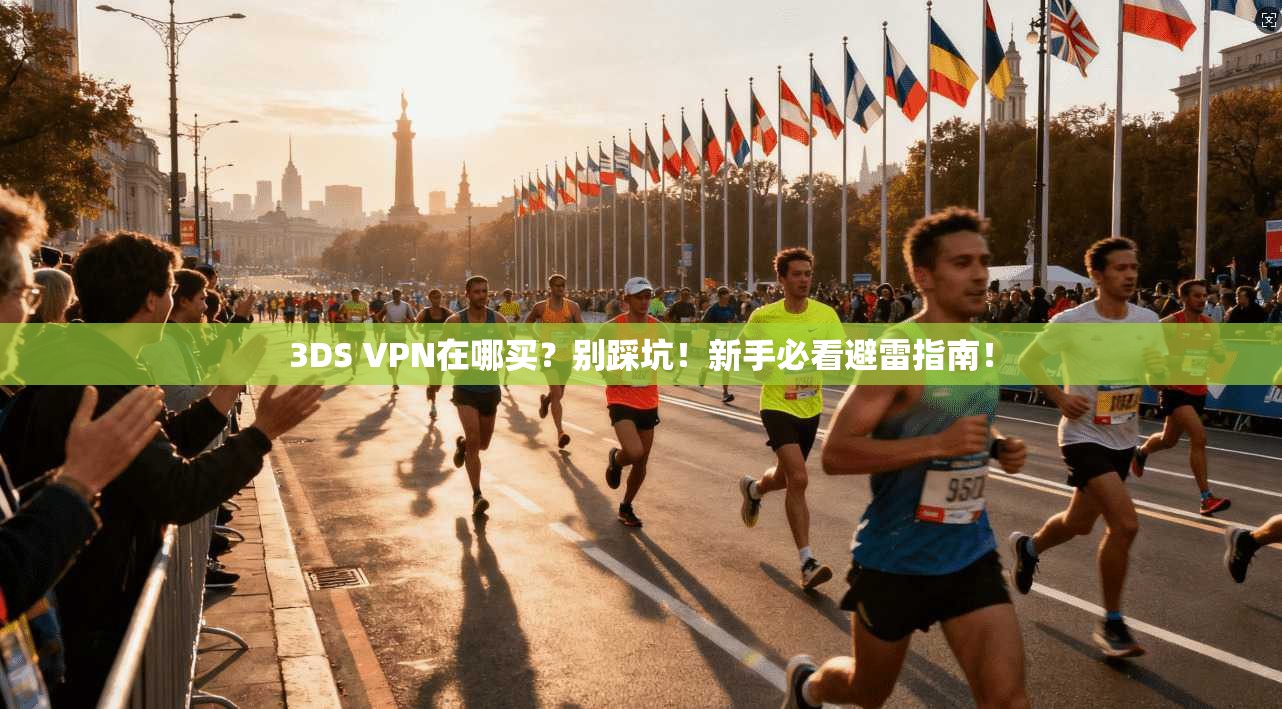 3DS VPN在哪买？别踩坑！新手必看避雷指南！