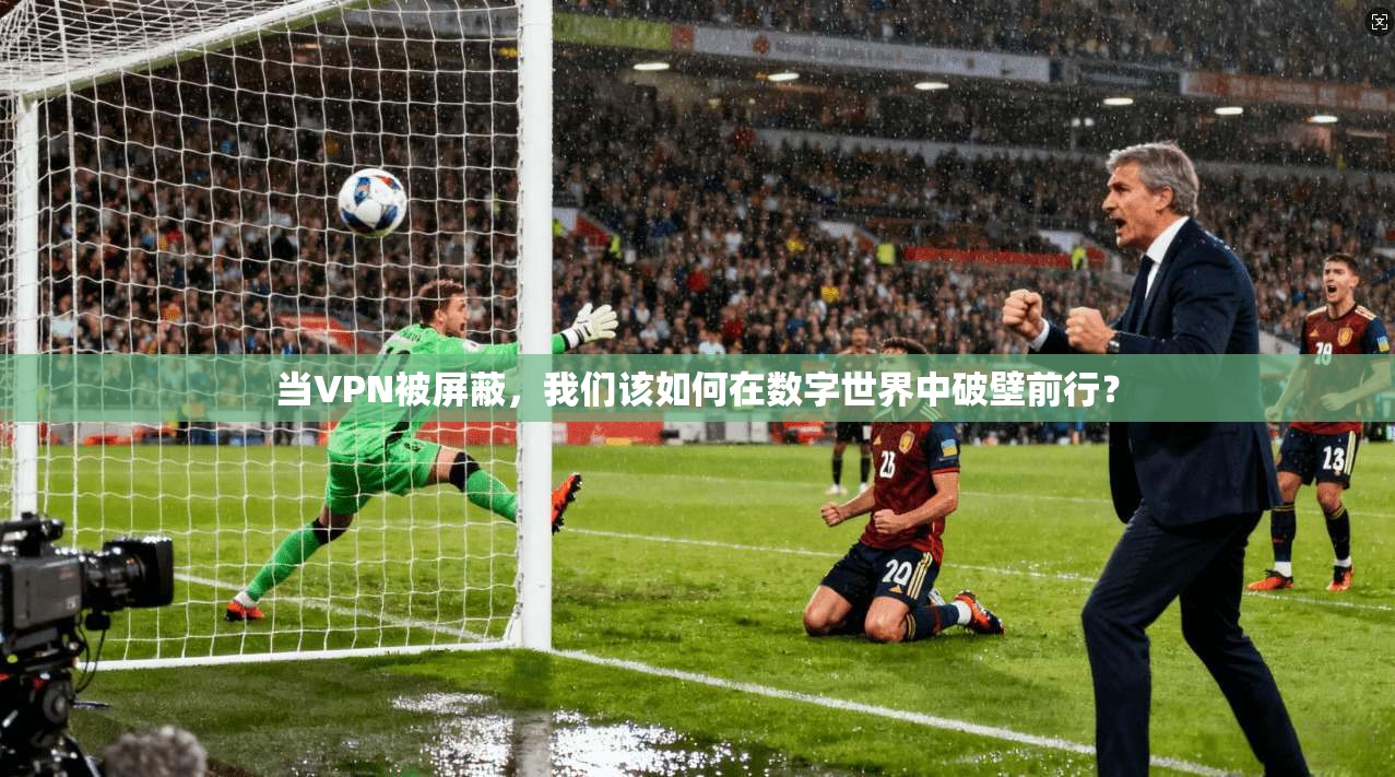 当VPN被屏蔽，我们该如何在数字世界中破壁前行？