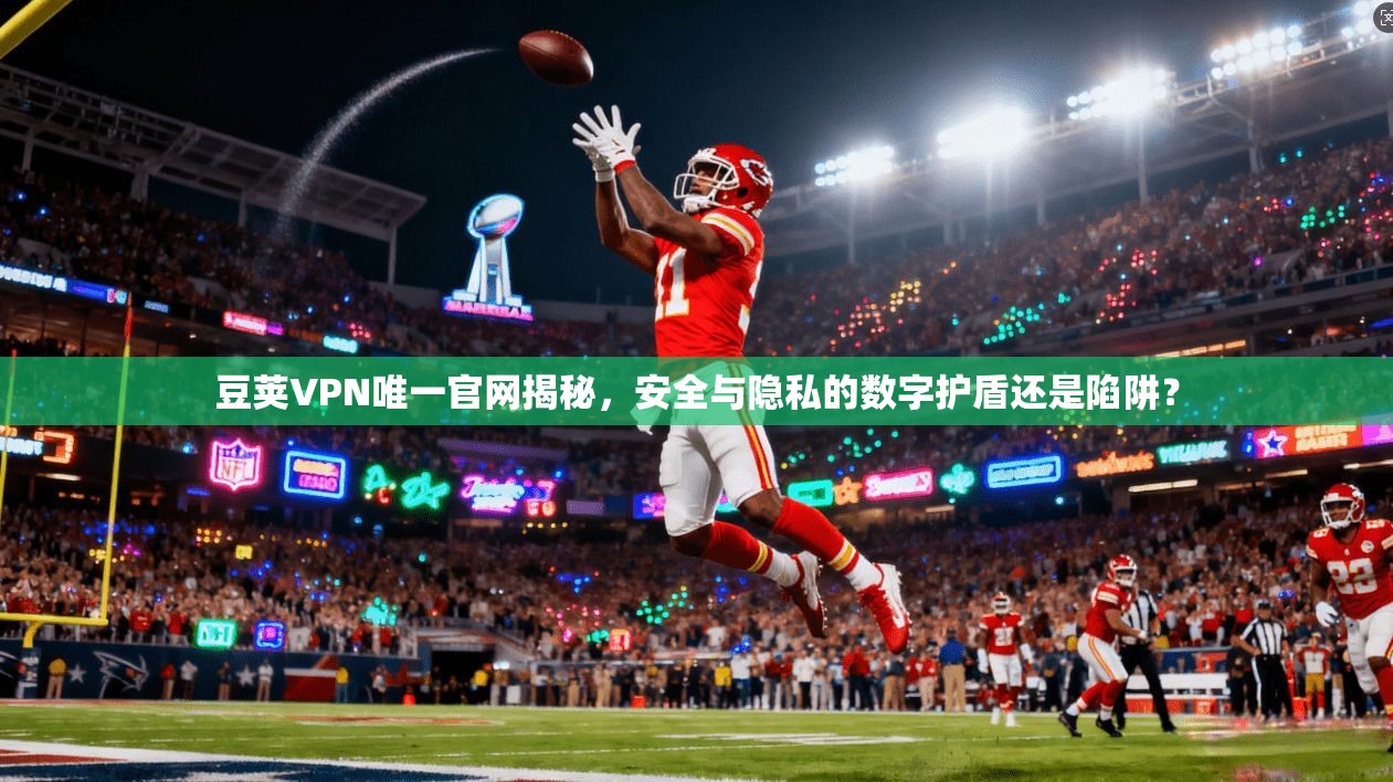 豆荚VPN唯一官网揭秘，安全与隐私的数字护盾还是陷阱？