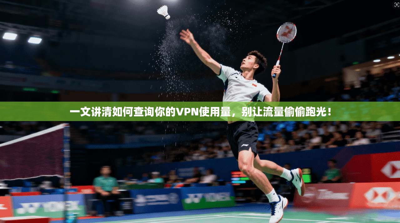 一文讲清如何查询你的VPN使用量，别让流量偷偷跑光！