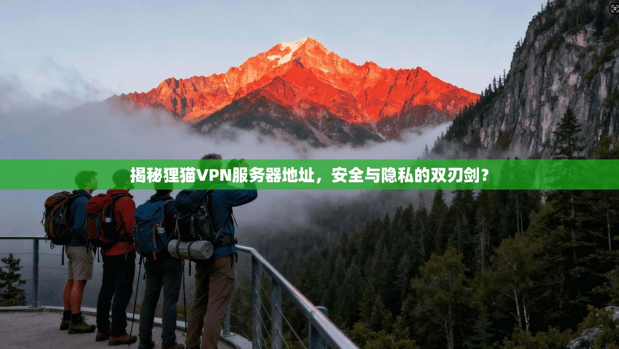揭秘狸猫VPN服务器地址，安全与隐私的双刃剑？