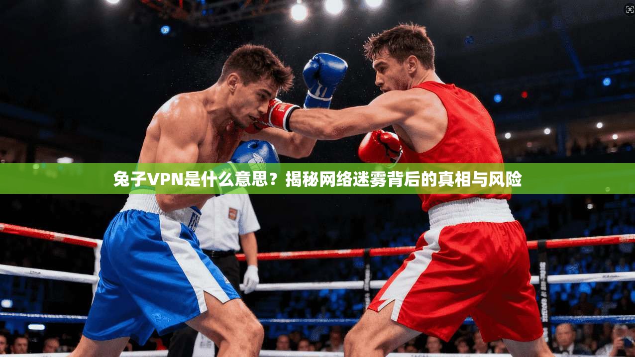 兔子VPN是什么意思？揭秘网络迷雾背后的真相与风险