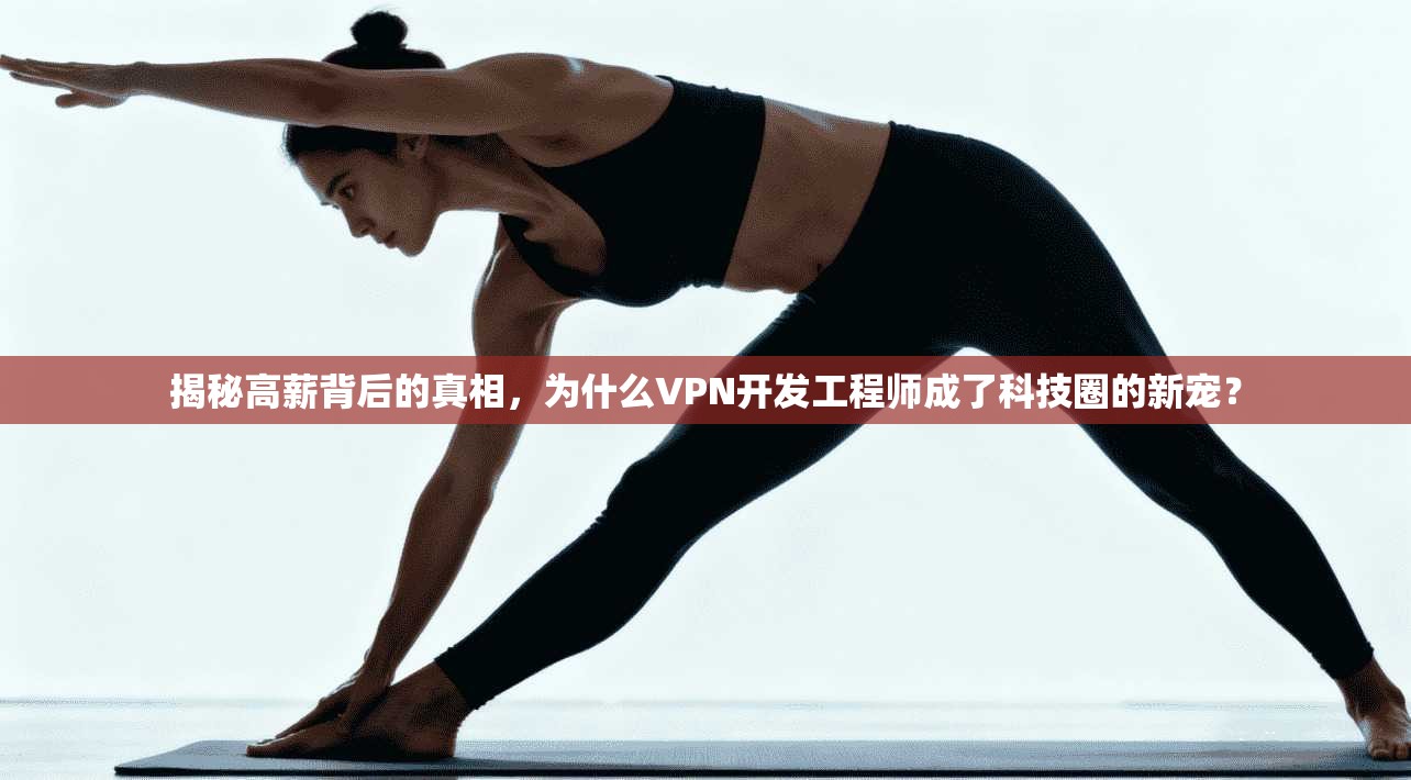 揭秘高薪背后的真相，为什么VPN开发工程师成了科技圈的新宠？