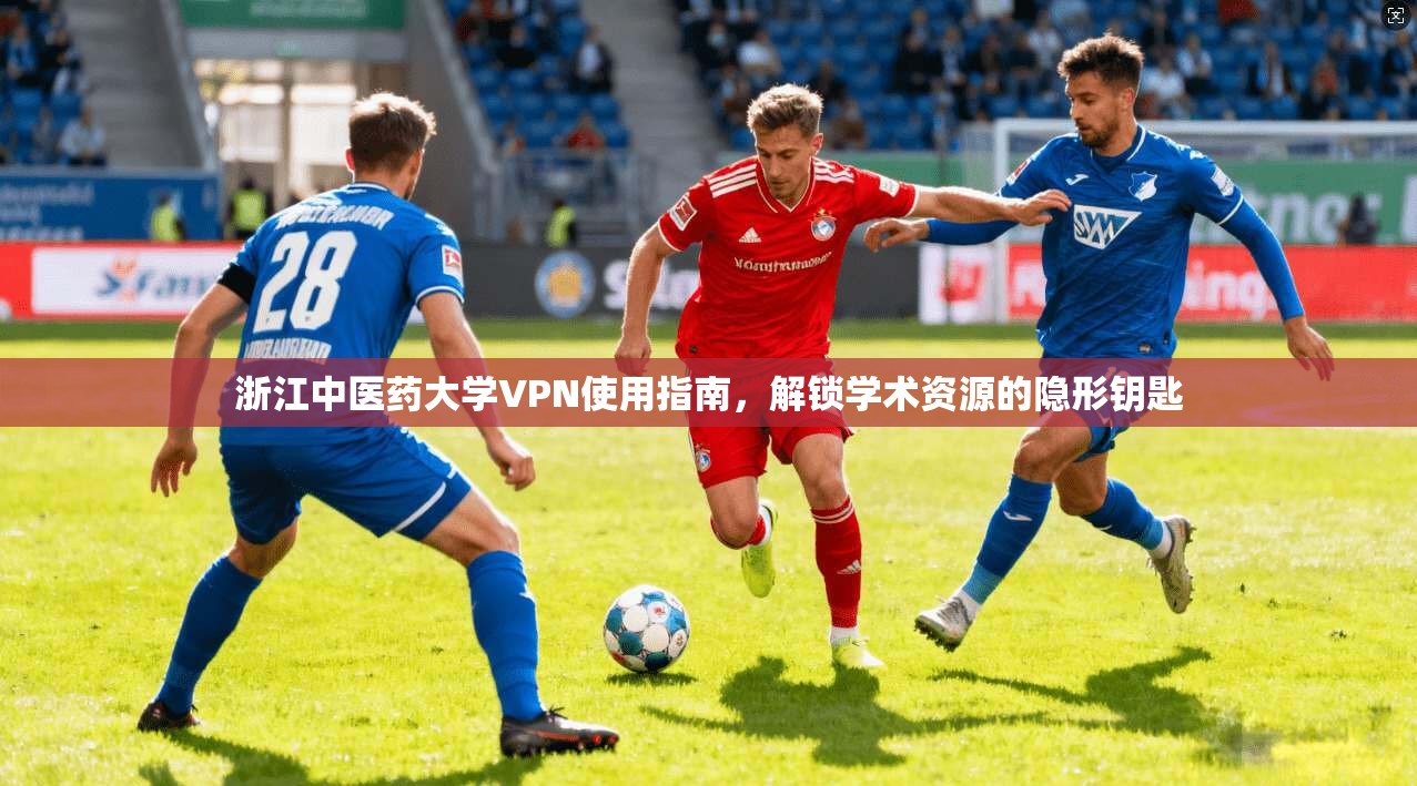 浙江中医药大学VPN使用指南,解锁学术资源的隐形钥匙 浙江中医药大学VPN使用指南,解锁学术资源的隐形钥匙