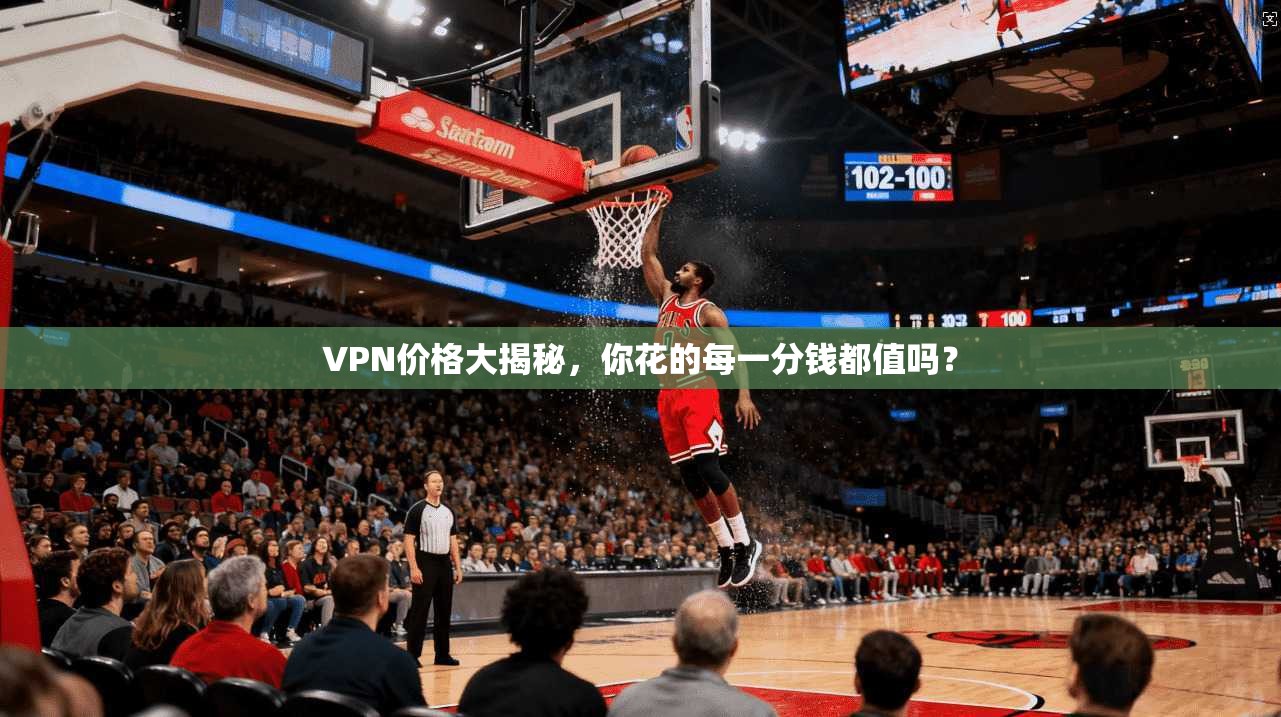 VPN价格大揭秘，你花的每一分钱都值吗？