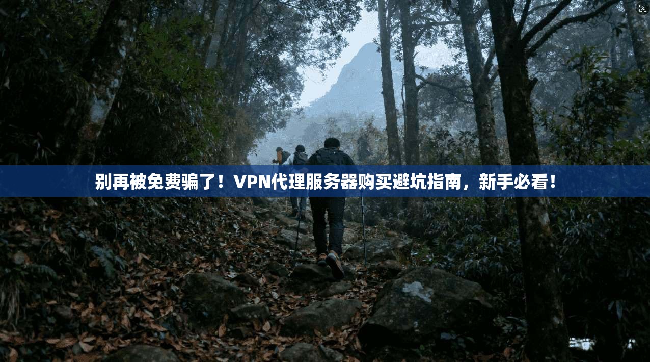别再被免费骗了！VPN代理服务器购买避坑指南，新手必看！