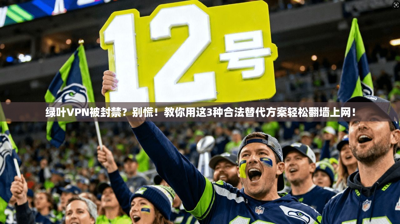 绿叶VPN被封禁？别慌！教你用这3种合法替代方案轻松翻墙上网！