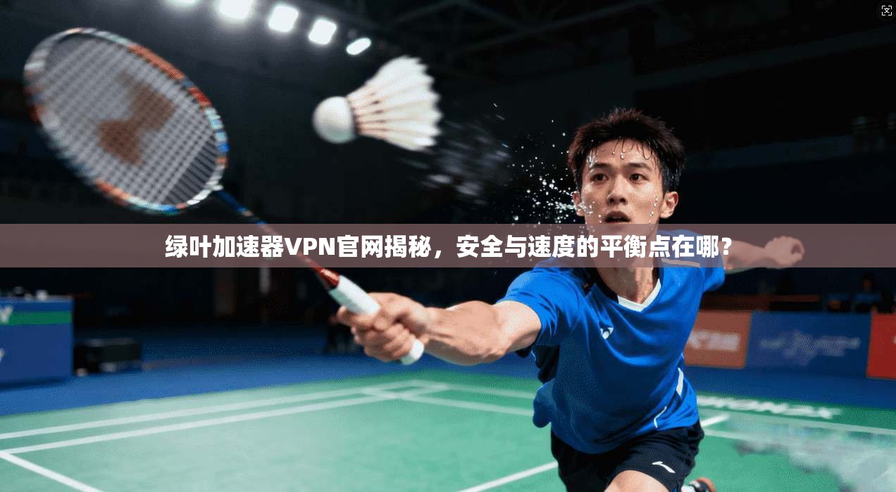 绿叶加速器VPN官网揭秘，安全与速度的平衡点在哪？