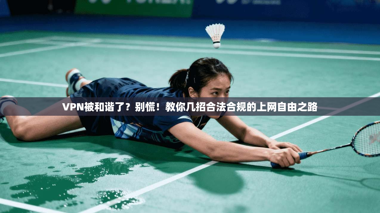 VPN被和谐了？别慌！教你几招合法合规的上网自由之路