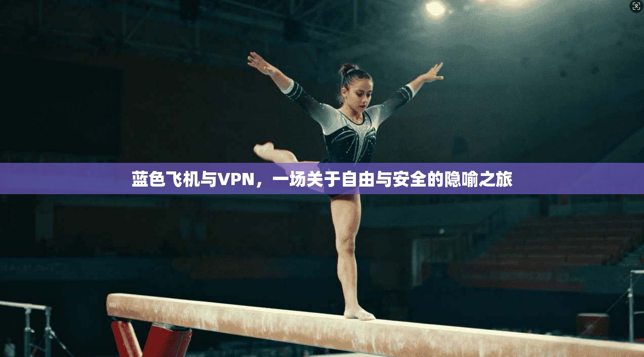 蓝色飞机与VPN，一场关于自由与安全的隐喻之旅