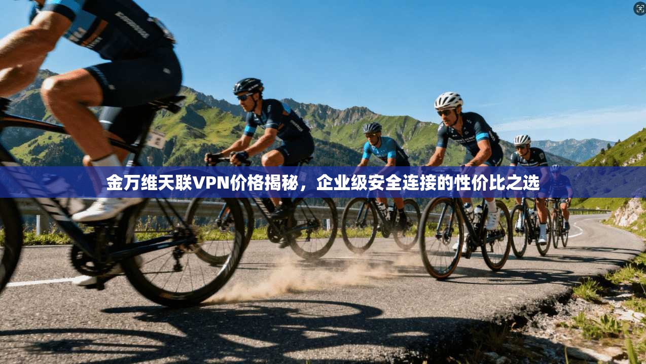 金万维天联VPN价格揭秘，企业级安全连接的性价比之选