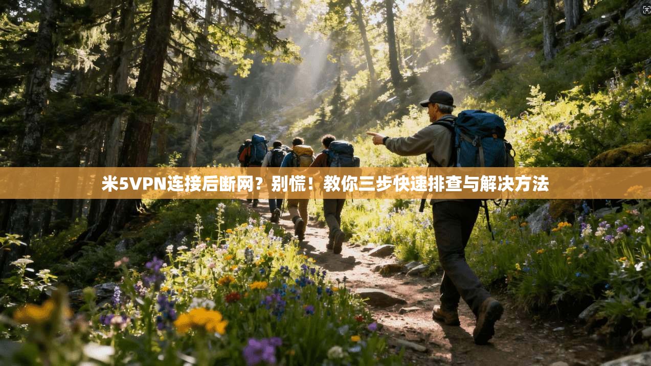 米5VPN连接后断网？别慌！教你三步快速排查与解决方法