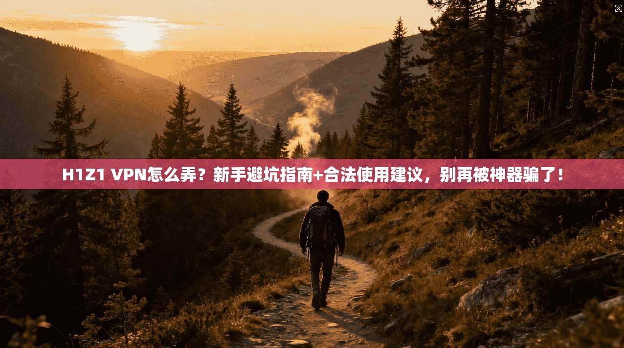 H1Z1 VPN怎么弄？新手避坑指南+合法使用建议，别再被神器骗了！