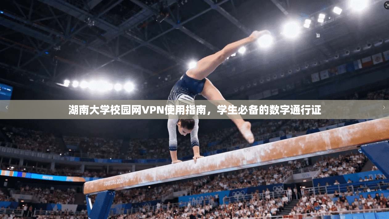湖南大学校园网VPN使用指南，学生必备的数字通行证