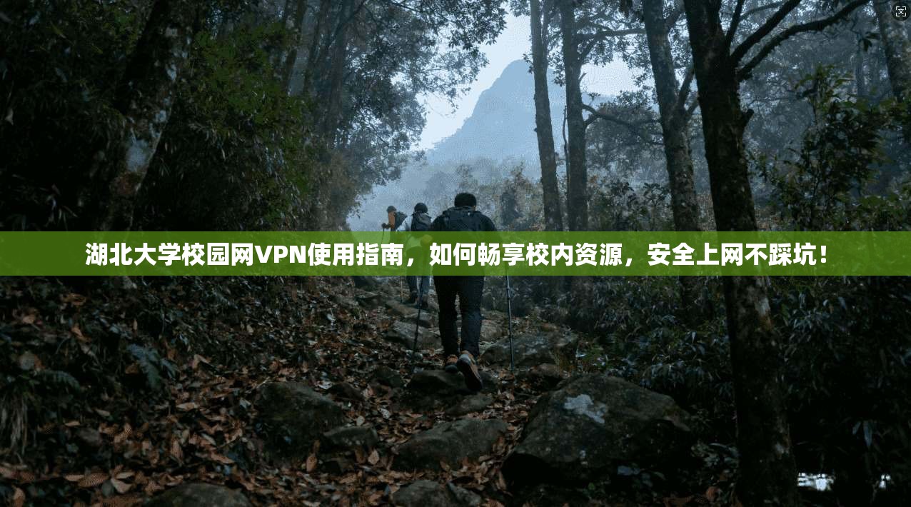 湖北大学校园网VPN使用指南，如何畅享校内资源，安全上网不踩坑！